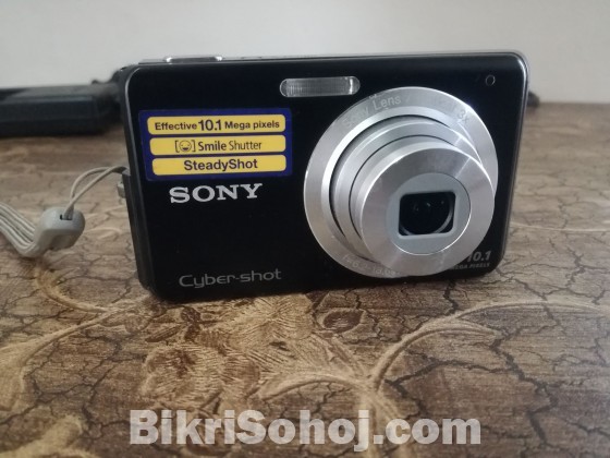 Sony Cyber-Shot 10.1 MP camera (DSC 0180)